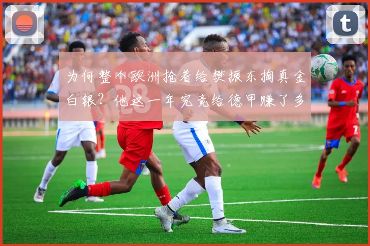 为何整个欧洲抢着给樊振东掏真金白银？他这一年究竟给德甲赚了多少钱？