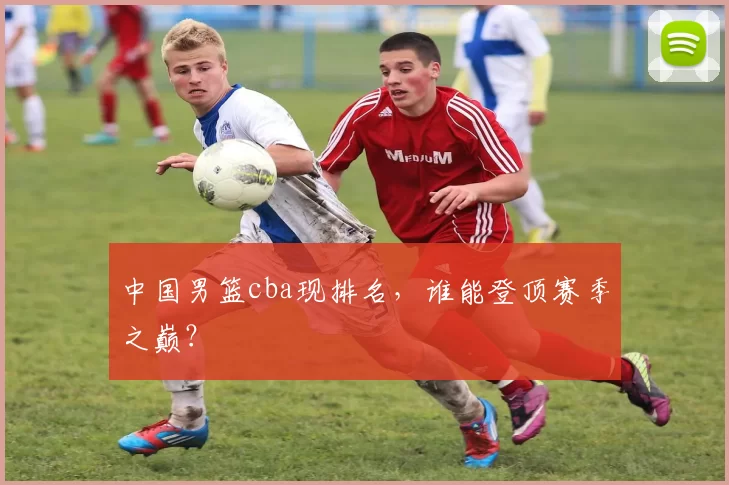 中国男篮cba现排名，谁能登顶赛季之巅？