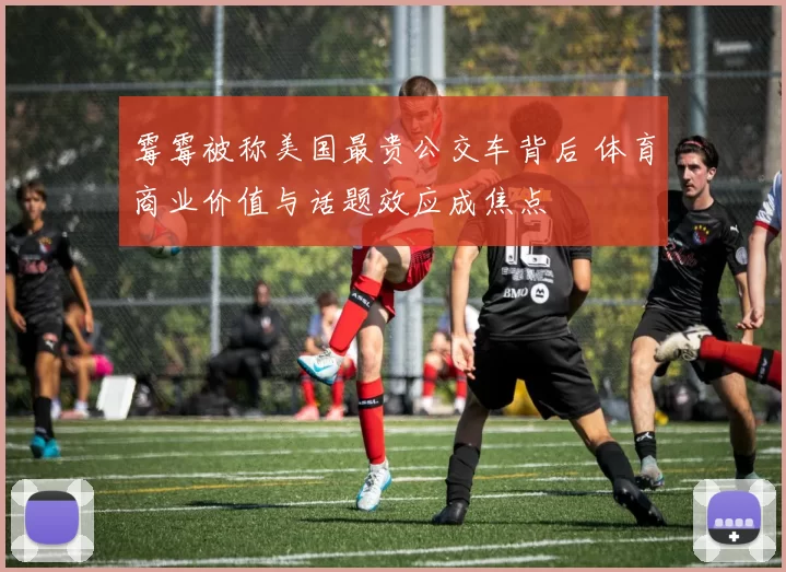 霉霉被称美国最贵公交车背后 体育商业价值与话题效应成焦点