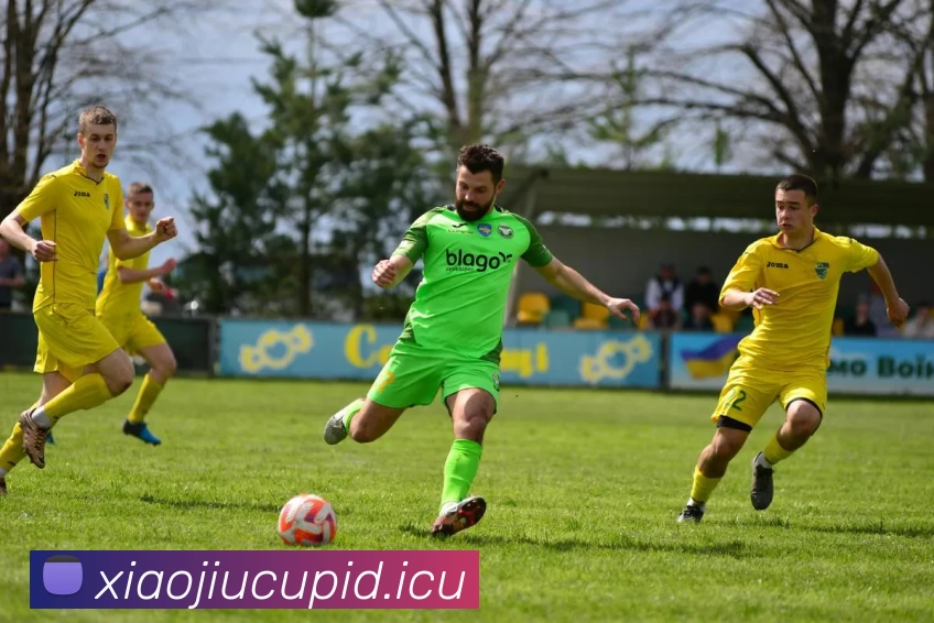 多媒体互动体验